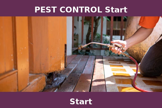 PEST CONTROL Start
